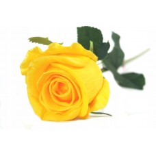 sztuczna róża piankowa silikonowa pianka EVA 50cm