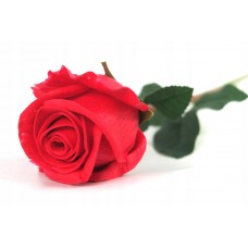 sztuczna róża piankowa silikonowa pianka EVA 50cm