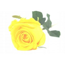 sztuczna róża piankowa silikonowa pianka EVA 54cm